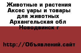 Животные и растения Аксесcуары и товары для животных. Архангельская обл.,Новодвинск г.